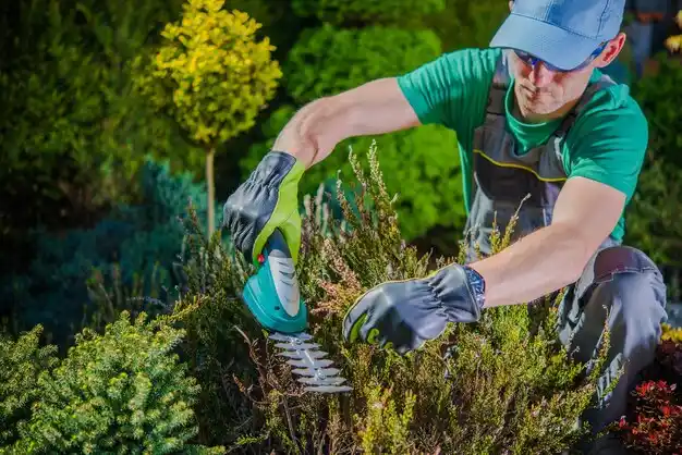landscaping services Rockaway Beach